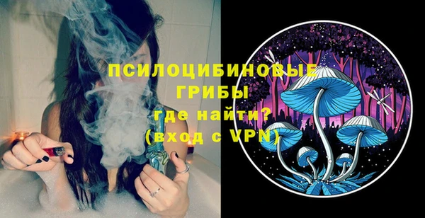 мдпв Абаза