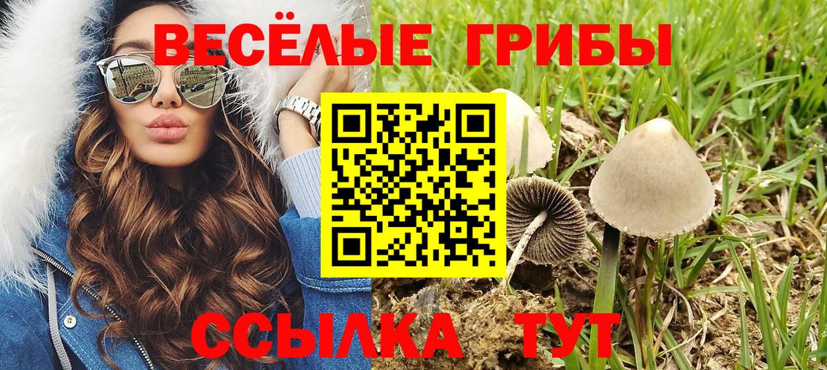 Галлюциногенные грибы мицелий  Галлюциногенные грибы прущие грибы  Вход с VPN  Топки 