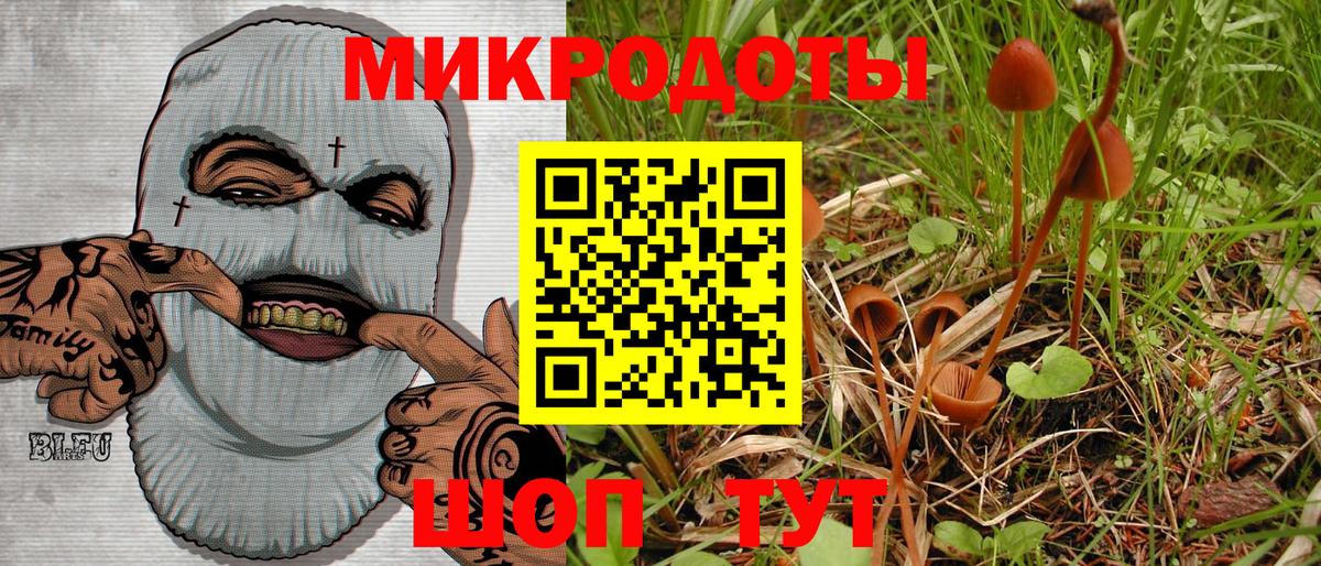 Галлюциногенные грибы GOLDEN TEACHER Топки
