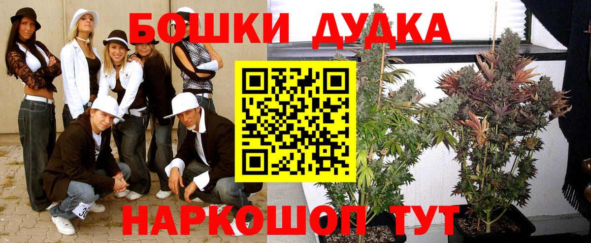 Бошки Шишки план Топки
